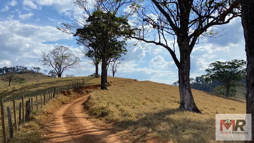 Sítio à venda de 87 ha em Estiva, MG, Brasil