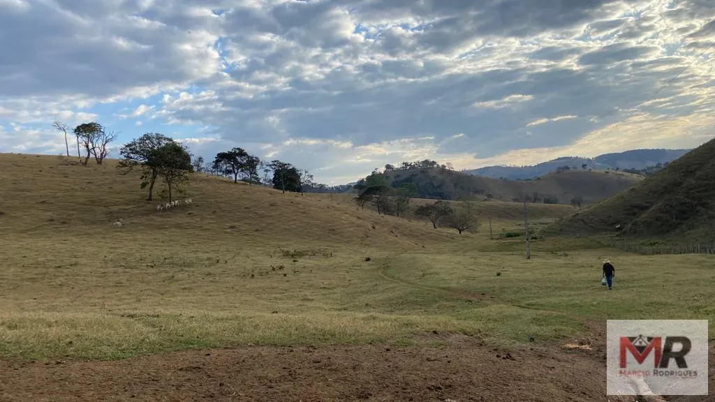 Sítio à venda de 87 ha em Estiva, MG, Brasil