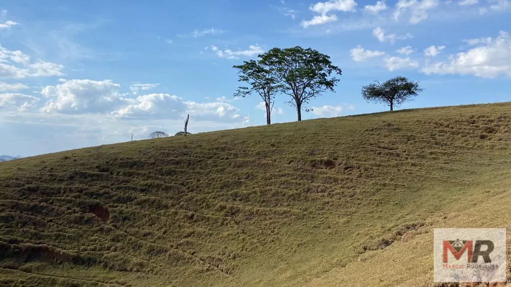 Sítio à venda de 87 ha em Estiva, MG, Brasil