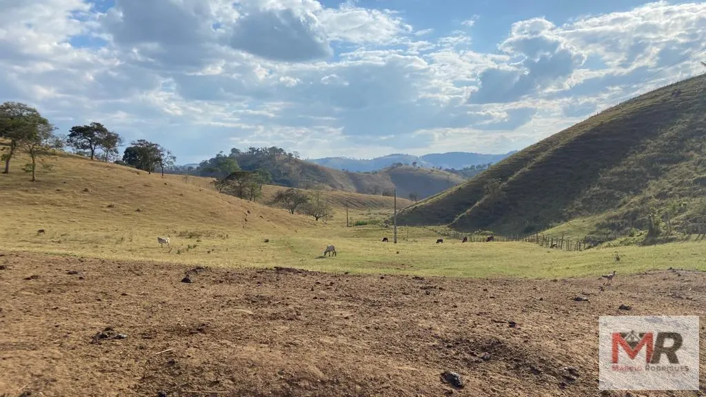 Sítio à venda de 87 ha em Estiva, MG, Brasil