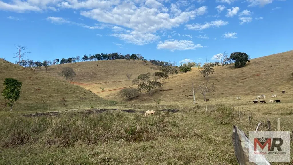 Sítio à venda de 87 ha em Estiva, MG, Brasil