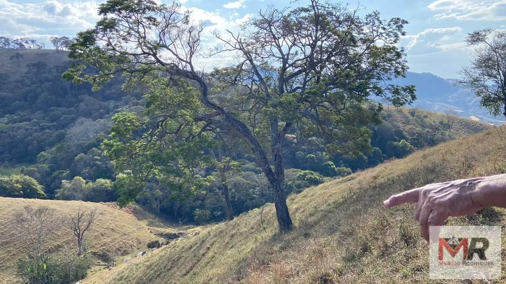 Sítio à venda de 87 ha em Estiva, MG, Brasil