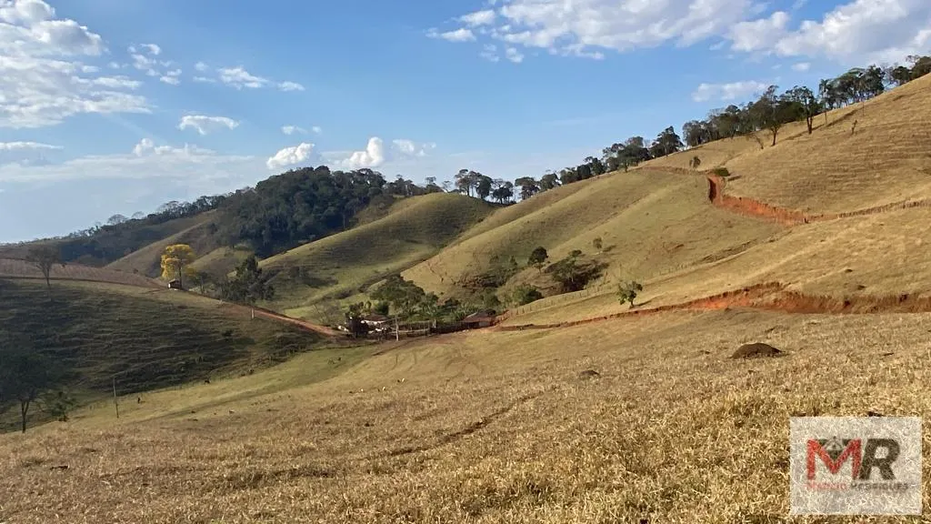 Sítio à venda de 87 ha em Estiva, MG, Brasil