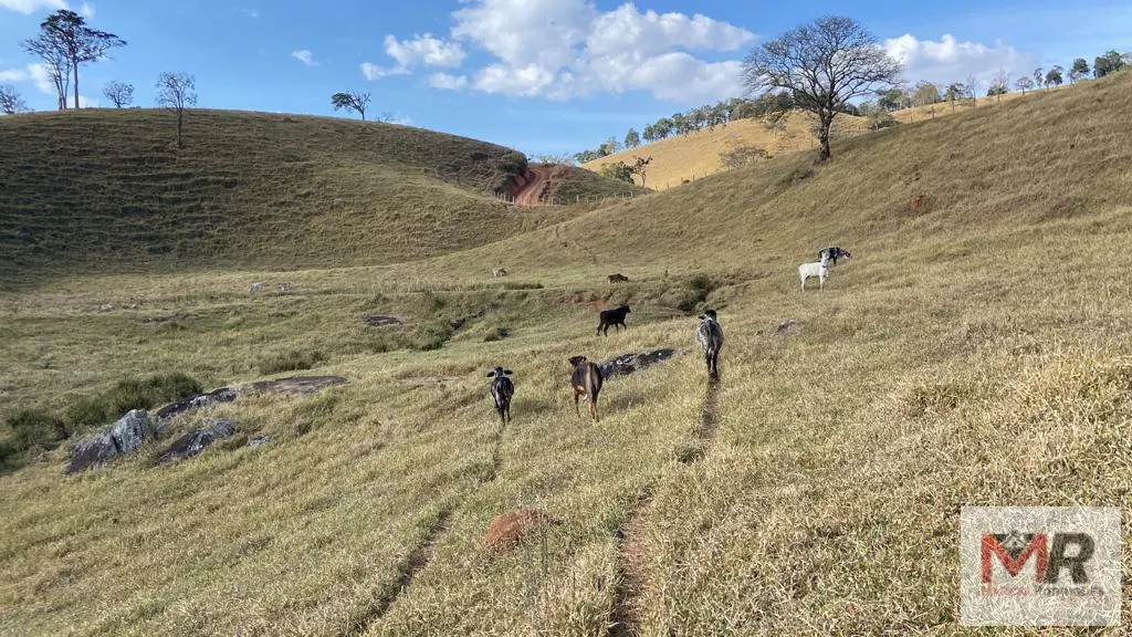 Sítio à venda de 87 ha em Estiva, MG, Brasil