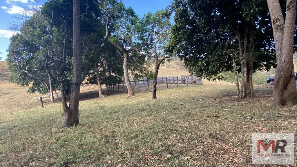 Sítio à venda de 87 ha em Estiva, MG, Brasil