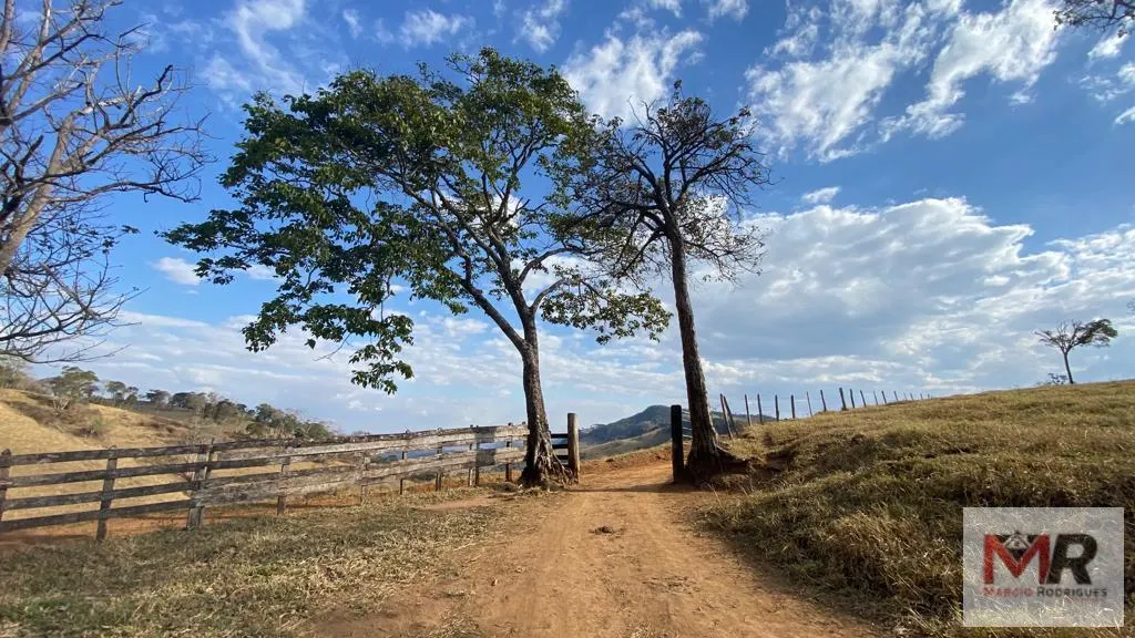 Sítio à venda de 87 ha em Estiva, MG, Brasil