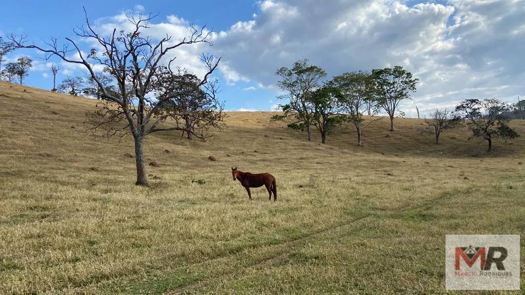 Sítio à venda de 87 ha em Estiva, MG, Brasil