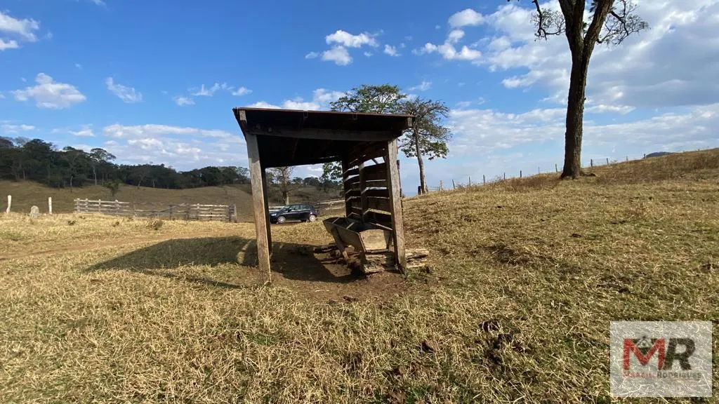 Sítio à venda de 87 ha em Estiva, MG, Brasil