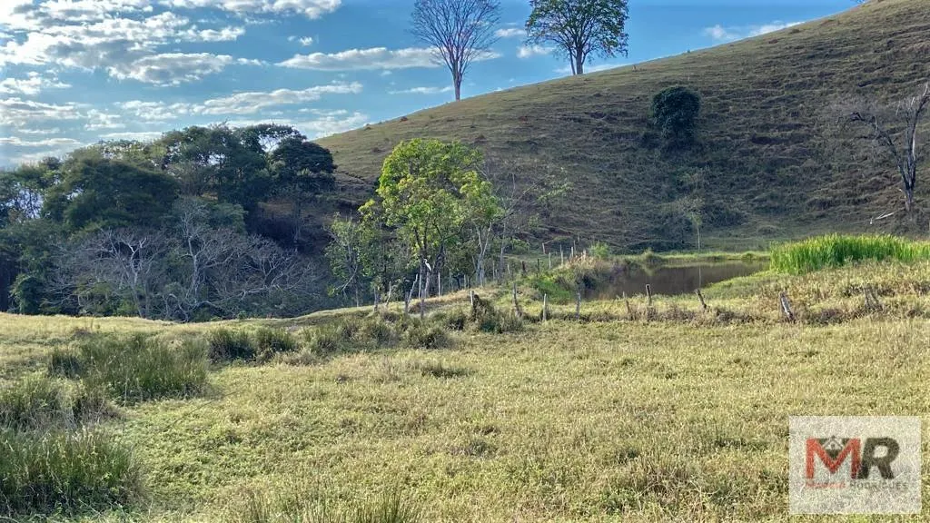 Sítio à venda de 87 ha em Estiva, MG, Brasil