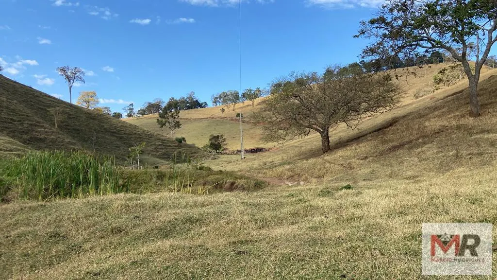 Sítio à venda de 87 ha em Estiva, MG, Brasil