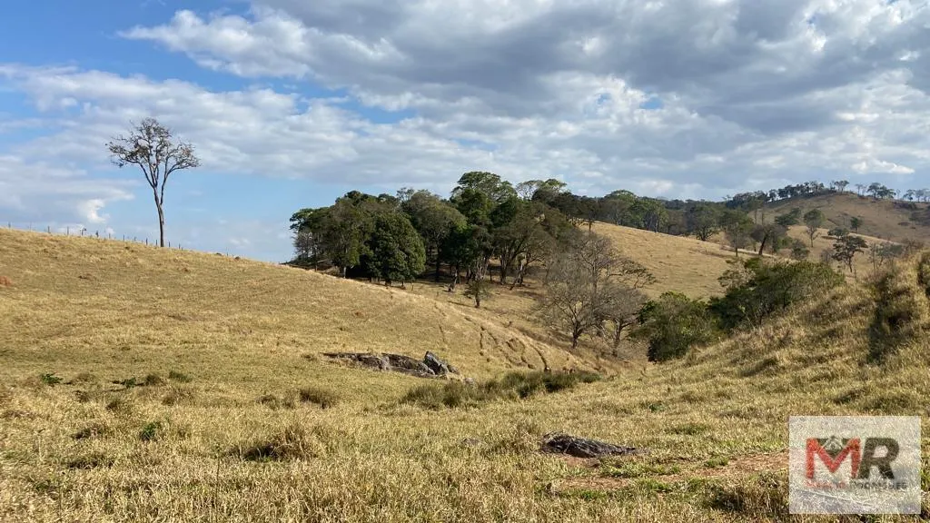 Sítio à venda de 87 ha em Estiva, MG, Brasil