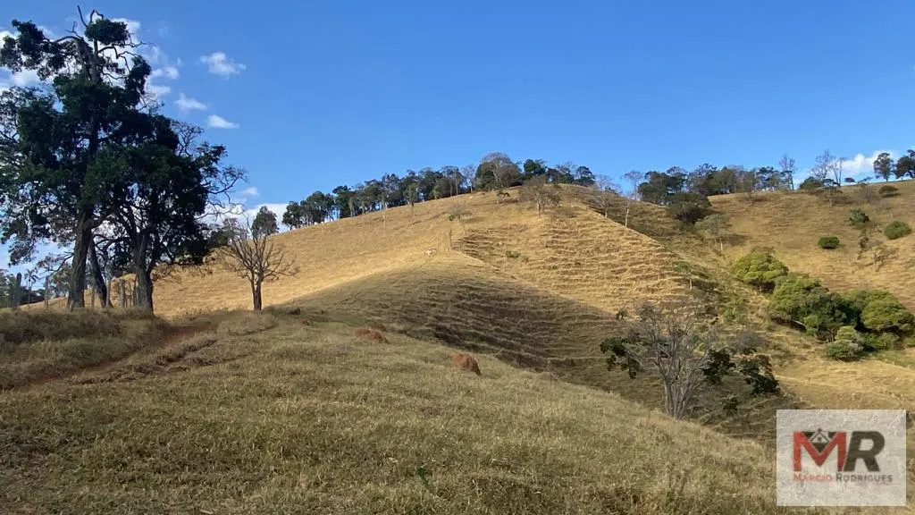 Sítio à venda de 87 ha em Estiva, MG, Brasil
