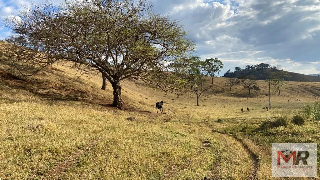 Sítio à venda de 87 ha em Estiva, MG, Brasil
