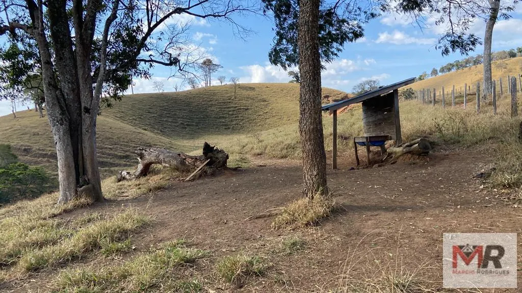 Sítio à venda de 87 ha em Estiva, MG, Brasil