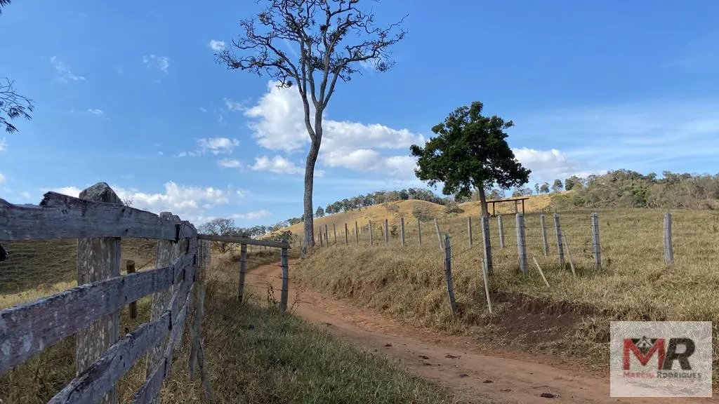 Sítio à venda de 87 ha em Estiva, MG, Brasil