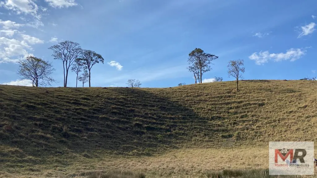 Sítio à venda de 87 ha em Estiva, MG, Brasil