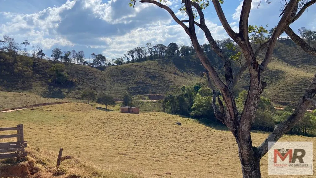 Sítio à venda de 87 ha em Estiva, MG, Brasil