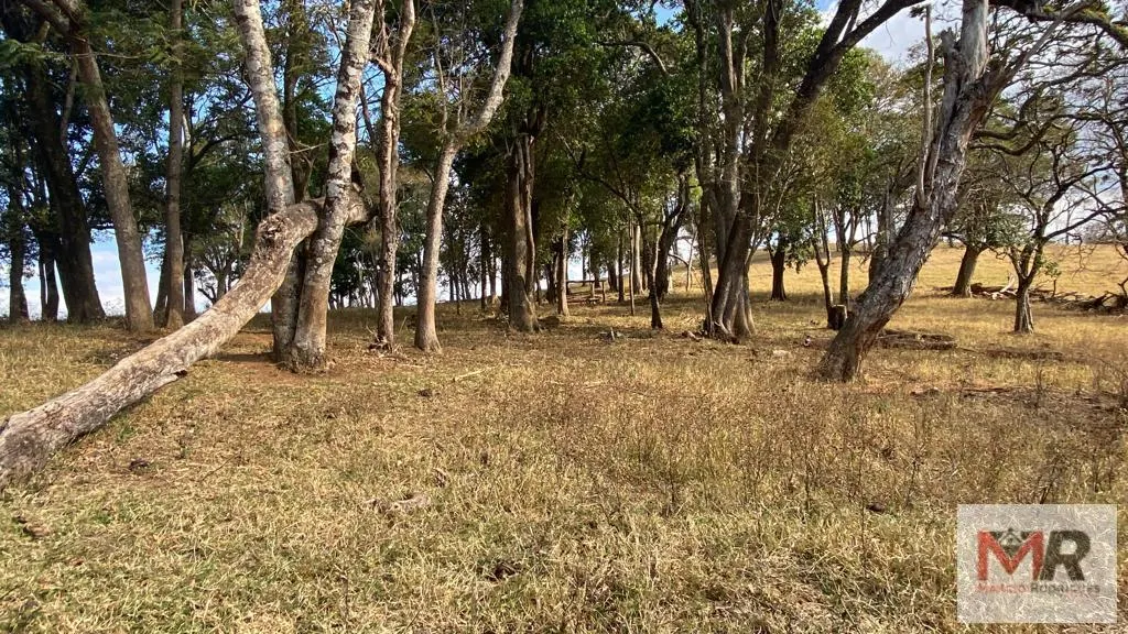 Sítio à venda de 87 ha em Estiva, MG, Brasil