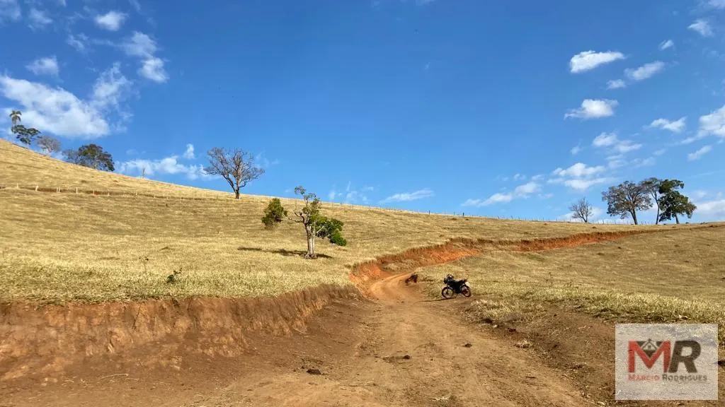 Sítio à venda de 87 ha em Estiva, MG, Brasil