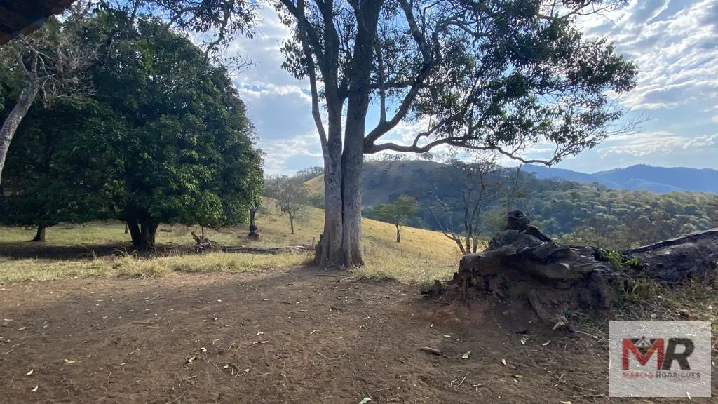 Sítio à venda de 87 ha em Estiva, MG, Brasil