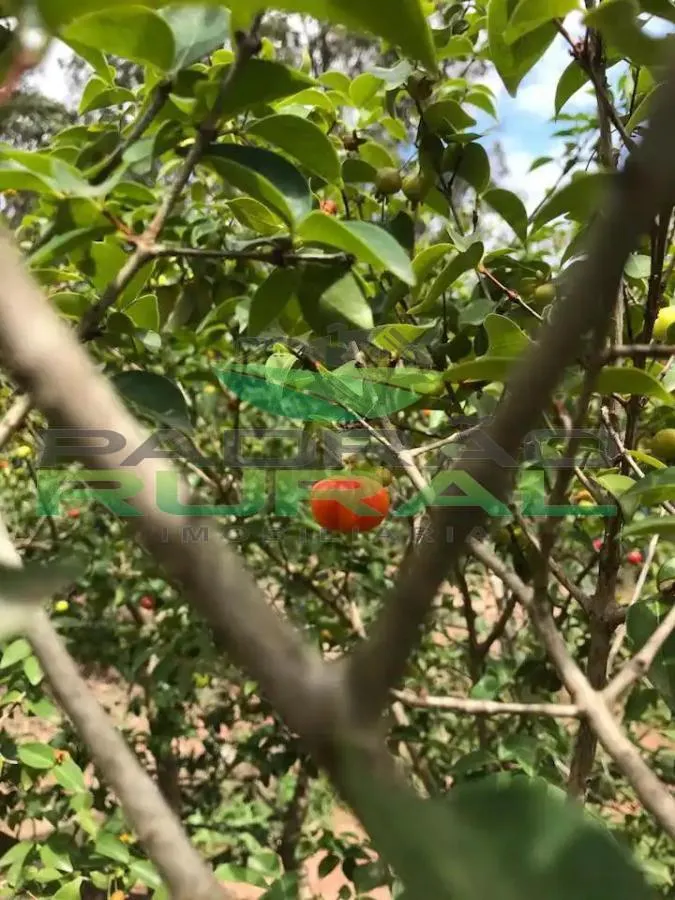 Chácara à venda de 1.000 m² em Mairinque, SP, Brasil