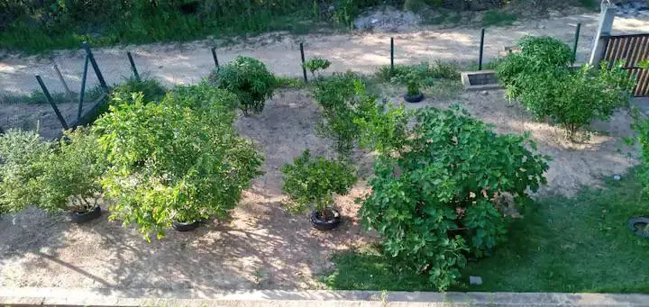Chácara à venda de 1.000 m² em Mairinque, SP, Brasil