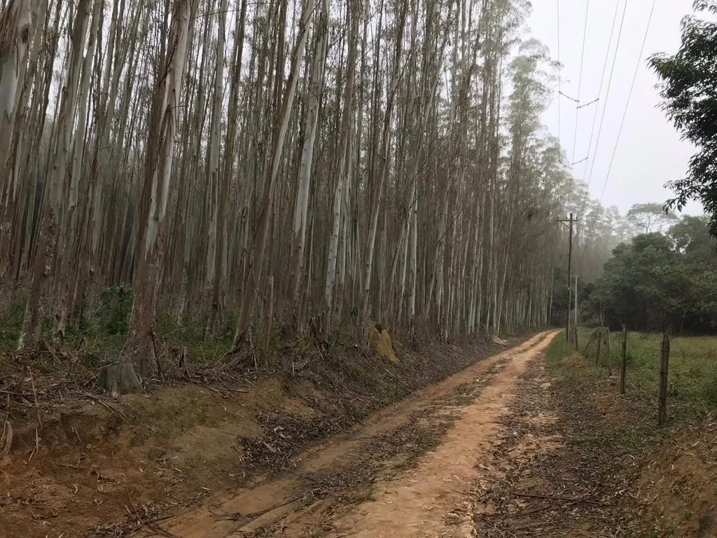 Sítio à venda de 29 ha em Biritiba-Mirim, SP, Brasil