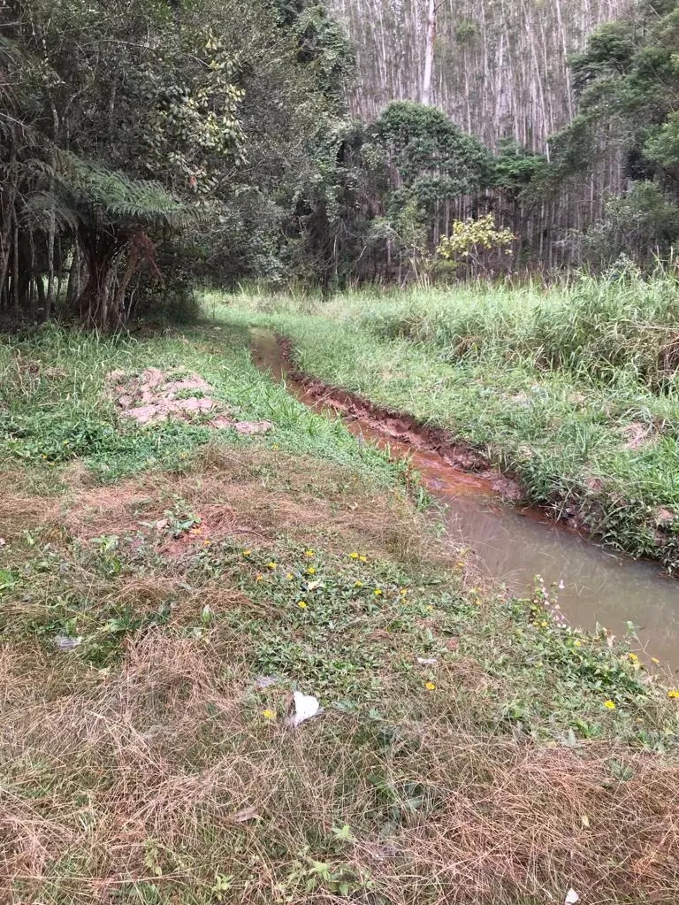 Small farm for sale of 72 acres in Biritiba-Mirim, SP, Brazil