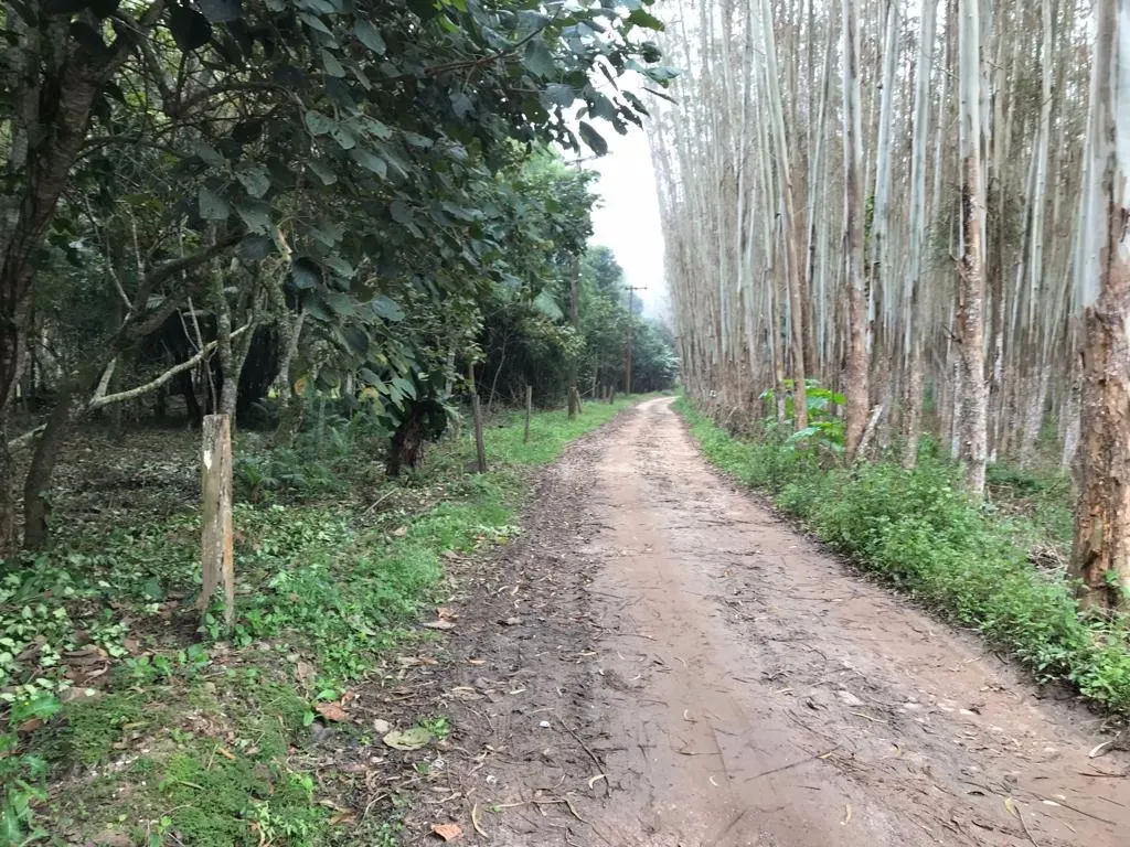 Small farm for sale of 72 acres in Biritiba-Mirim, SP, Brazil