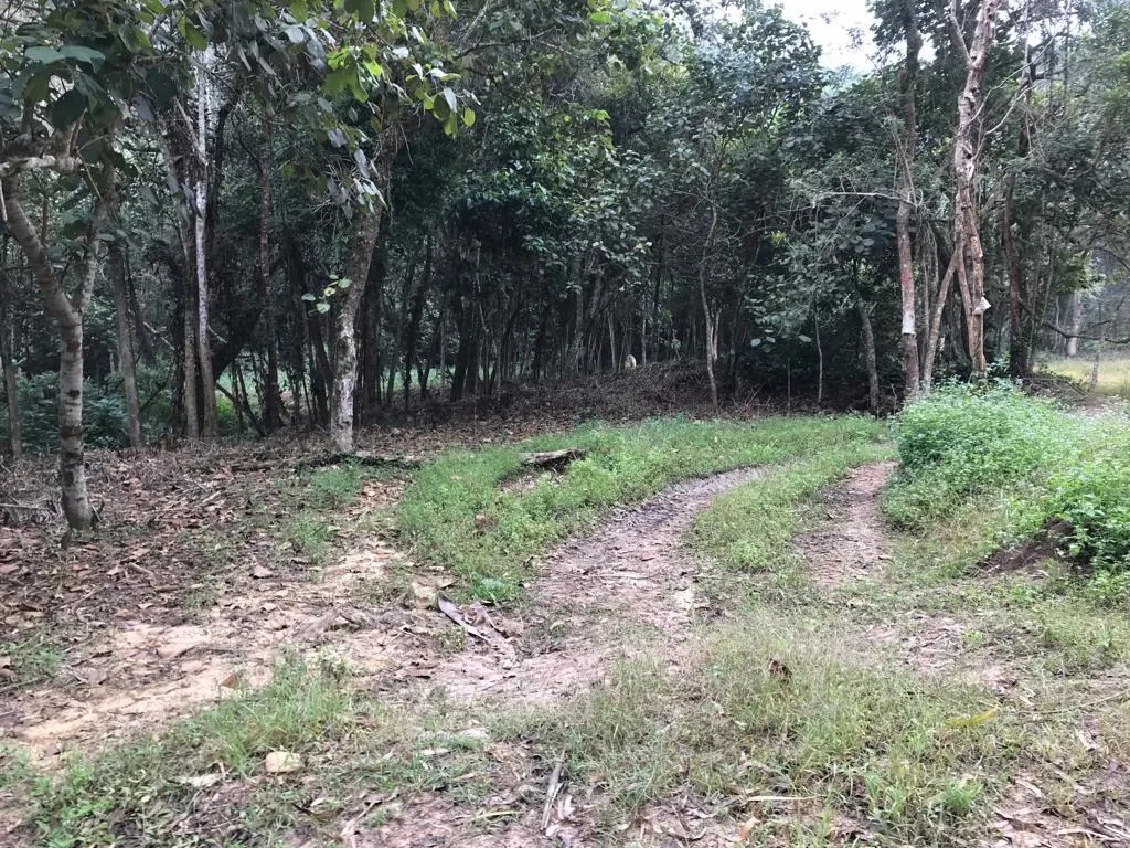 Small farm for sale of 72 acres in Biritiba-Mirim, SP, Brazil