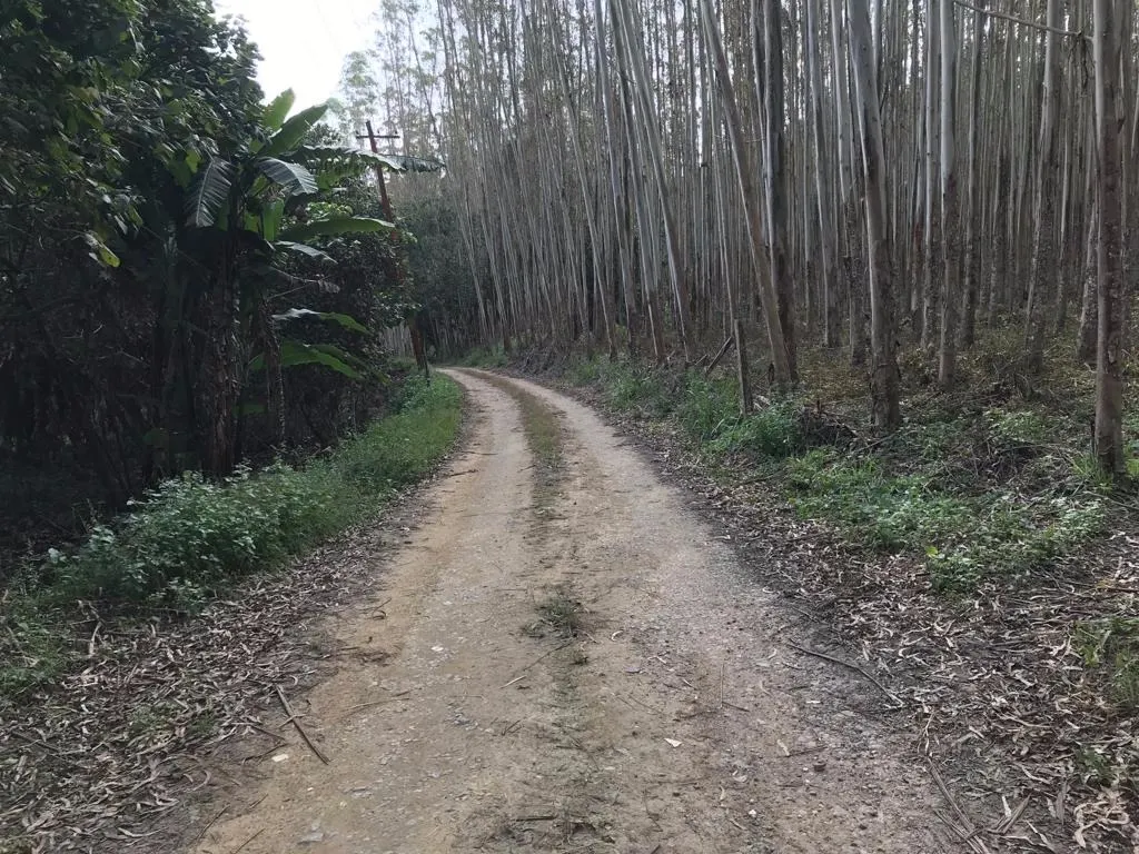 Small farm for sale of 72 acres in Biritiba-Mirim, SP, Brazil