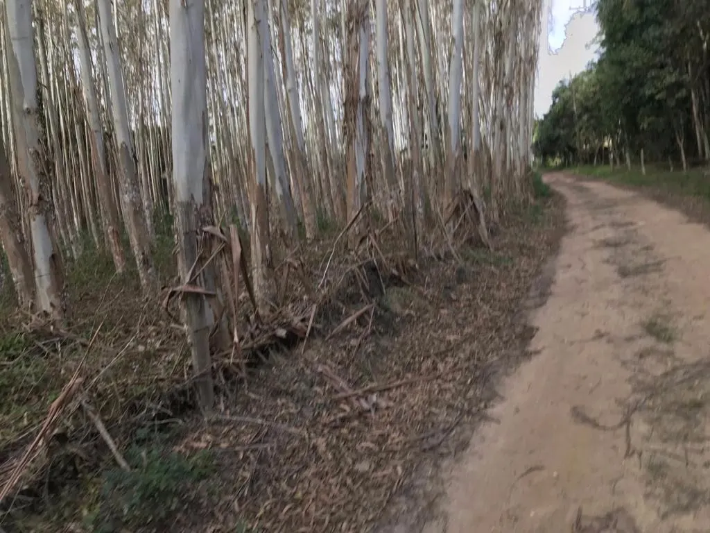 Small farm for sale of 72 acres in Biritiba-Mirim, SP, Brazil