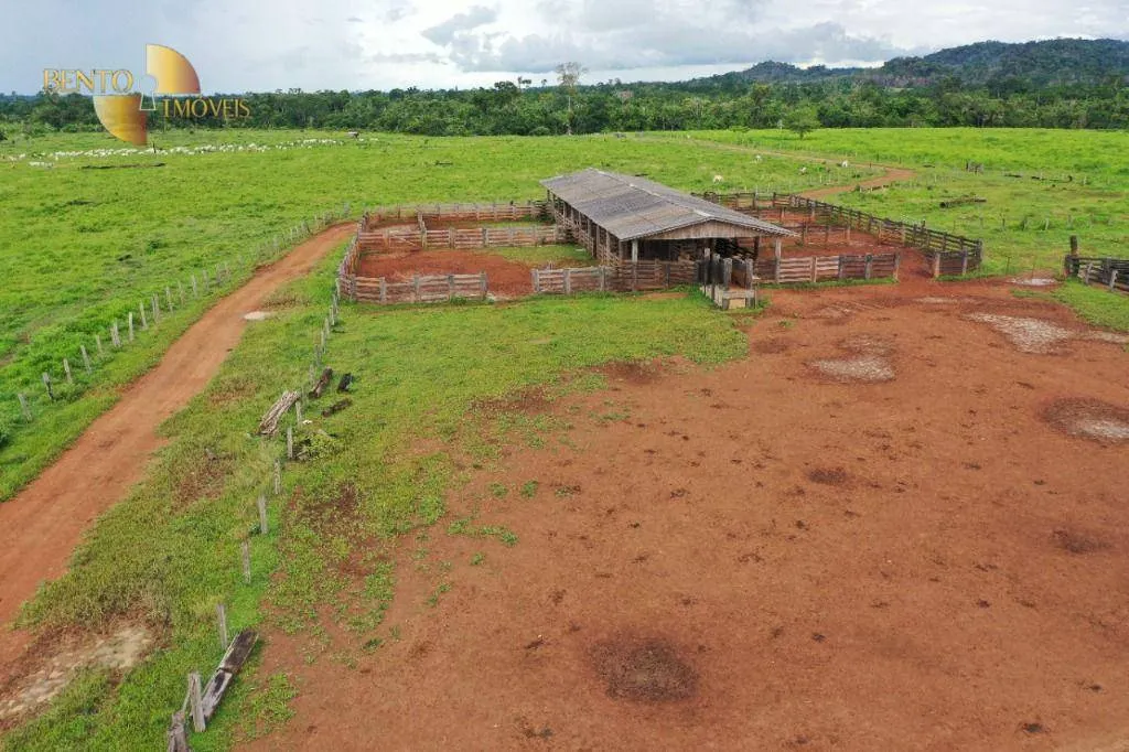 Fazenda à venda de 6.780 ha em Brasnorte, MT, Brasil