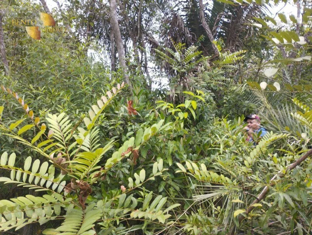 Fazenda à venda de 190 ha em Santo Antônio do Leverger, MT, Brasil