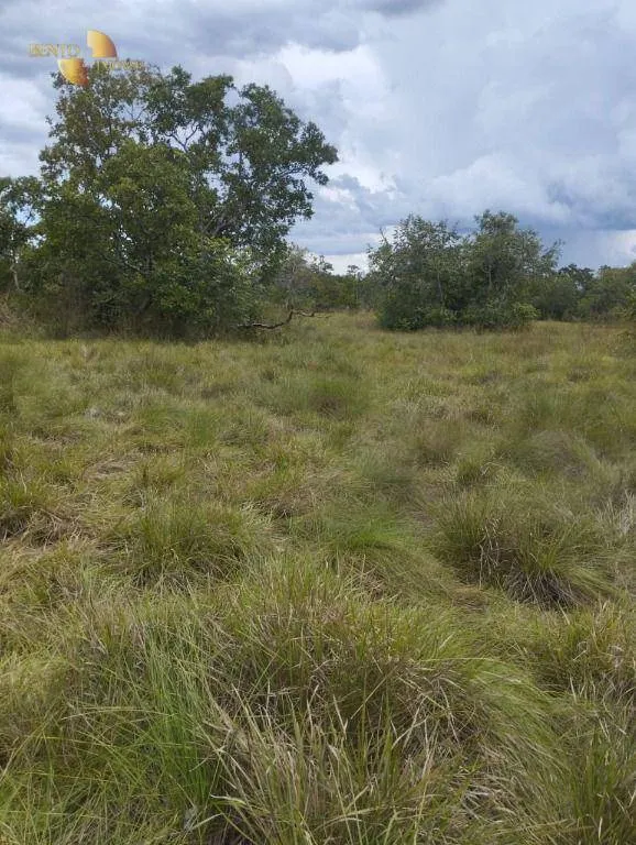 Fazenda à venda de 190 ha em Santo Antônio do Leverger, MT, Brasil
