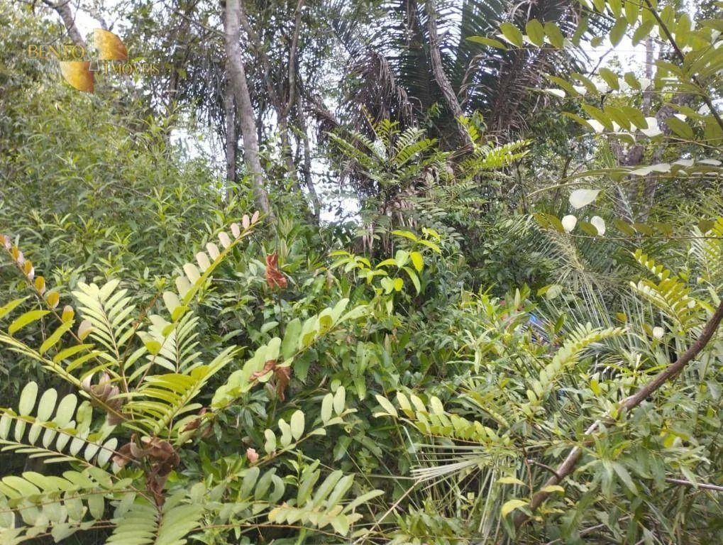 Fazenda à venda de 190 ha em Santo Antônio do Leverger, MT, Brasil