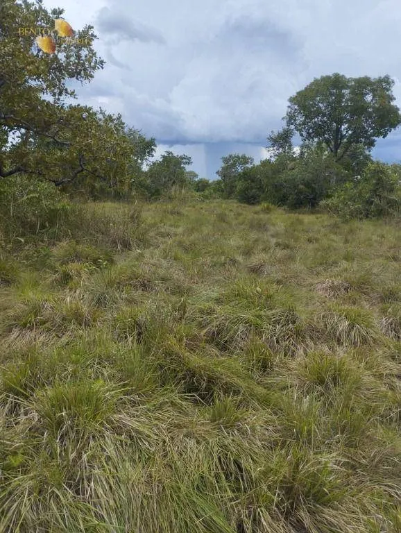 Fazenda à venda de 190 ha em Santo Antônio do Leverger, MT, Brasil