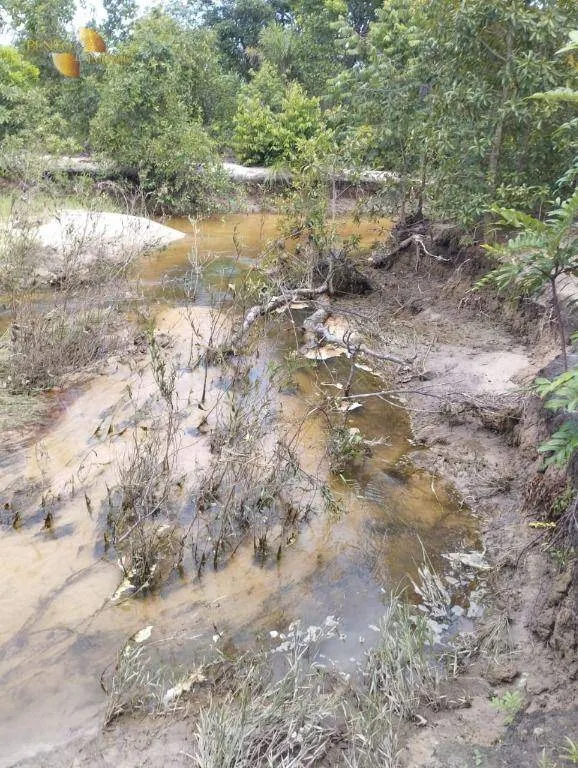 Fazenda à venda de 190 ha em Santo Antônio do Leverger, MT, Brasil