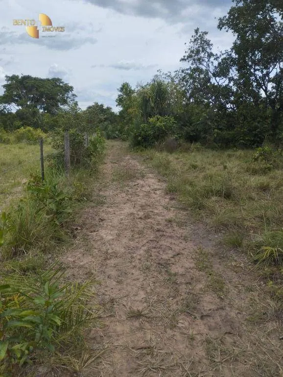 Fazenda à venda de 190 ha em Santo Antônio do Leverger, MT, Brasil