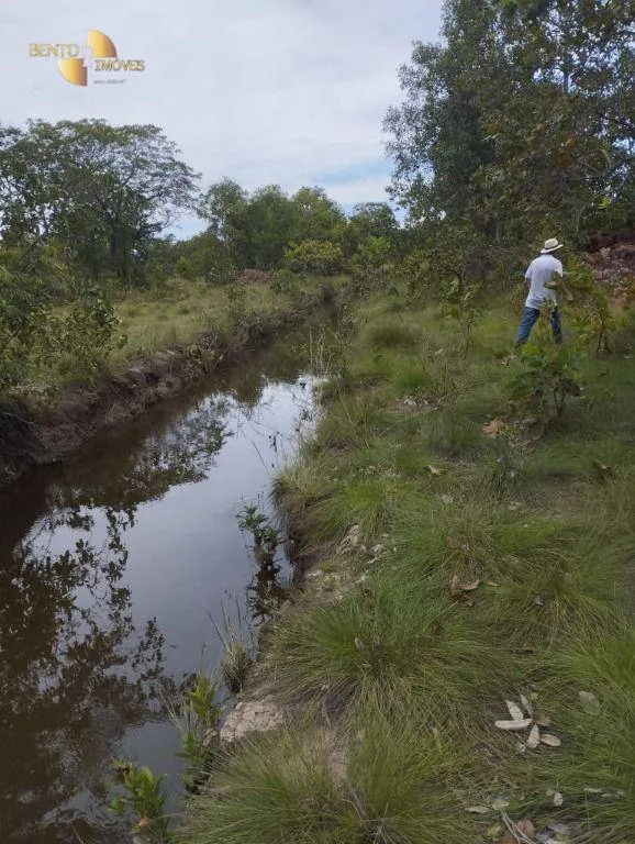Fazenda à venda de 190 ha em Santo Antônio do Leverger, MT, Brasil