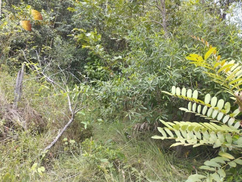 Fazenda à venda de 190 ha em Santo Antônio do Leverger, MT, Brasil