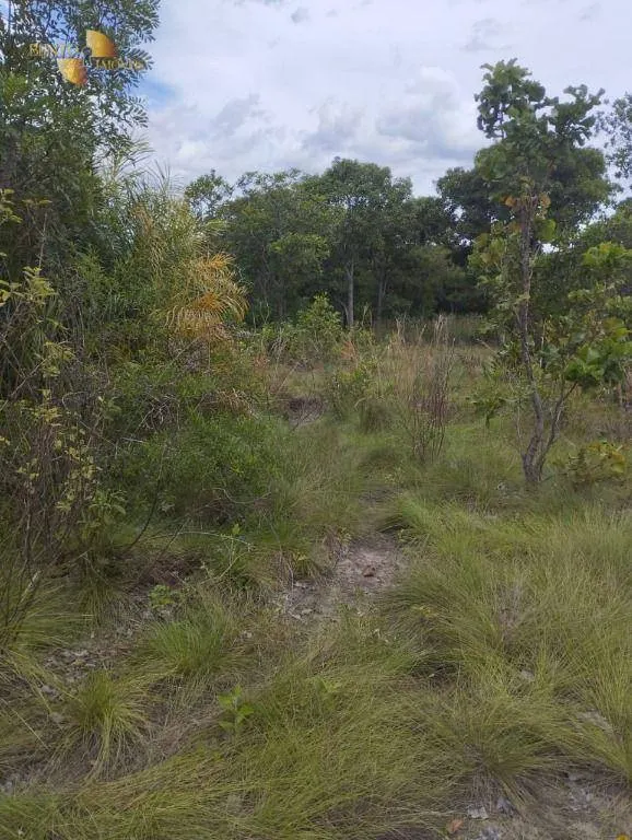 Fazenda à venda de 190 ha em Santo Antônio do Leverger, MT, Brasil