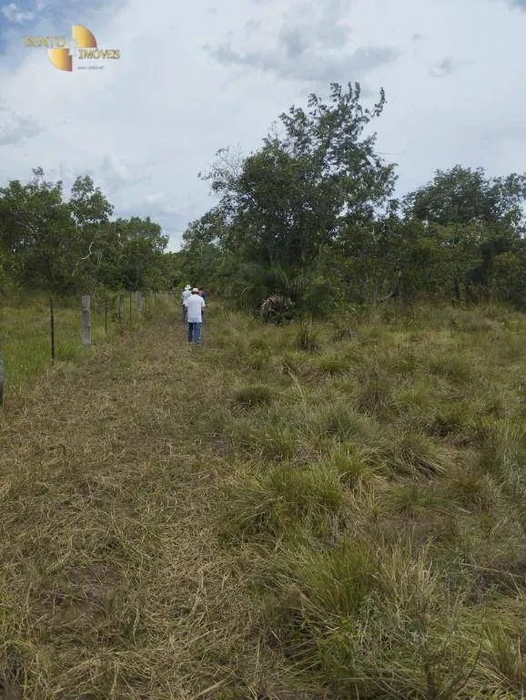 Fazenda à venda de 190 ha em Santo Antônio do Leverger, MT, Brasil