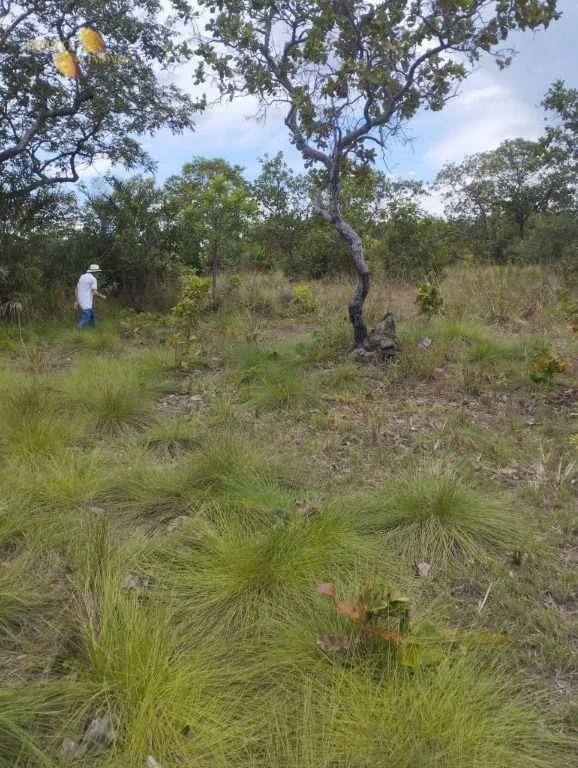 Fazenda à venda de 190 ha em Santo Antônio do Leverger, MT, Brasil