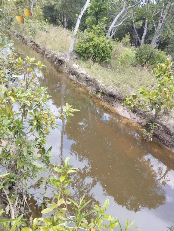 Fazenda à venda de 190 ha em Santo Antônio do Leverger, MT, Brasil