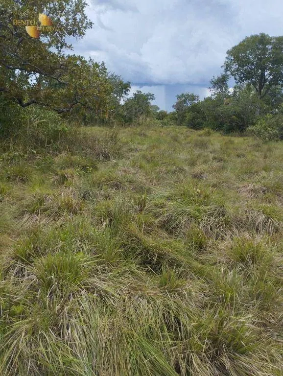 Fazenda à venda de 190 ha em Santo Antônio do Leverger, MT, Brasil