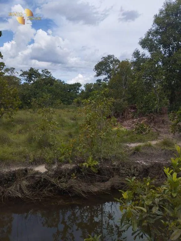 Fazenda à venda de 190 ha em Santo Antônio do Leverger, MT, Brasil