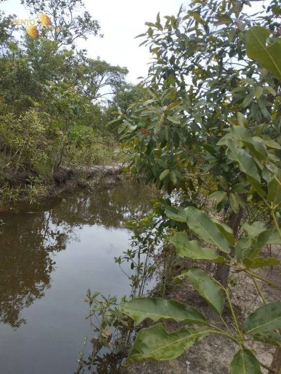 Fazenda à venda de 190 ha em Santo Antônio do Leverger, MT, Brasil