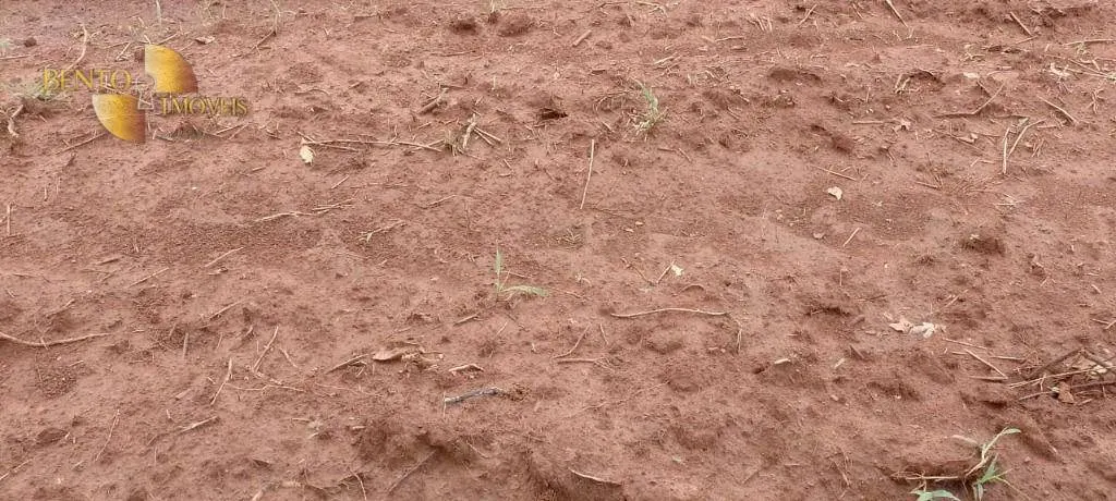 Fazenda à venda de 727 ha em Poconé, MT, Brasil