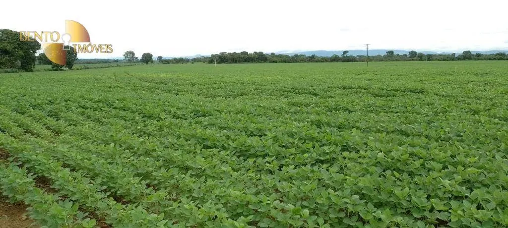 Fazenda à venda de 727 ha em Poconé, MT, Brasil